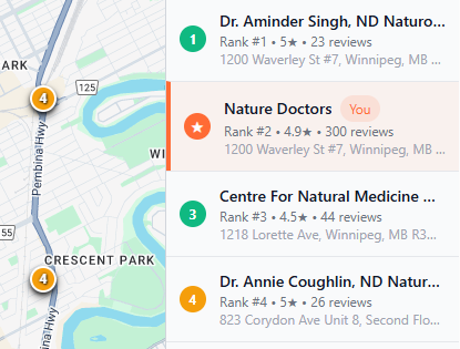 GMB Heatmap Dashboard showing local search visibility and map pack positioning